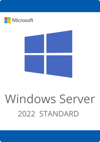 Microsoft Windows Server Standard 2022